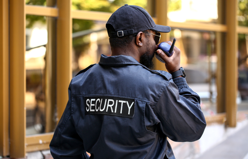 Professional security guard on duty